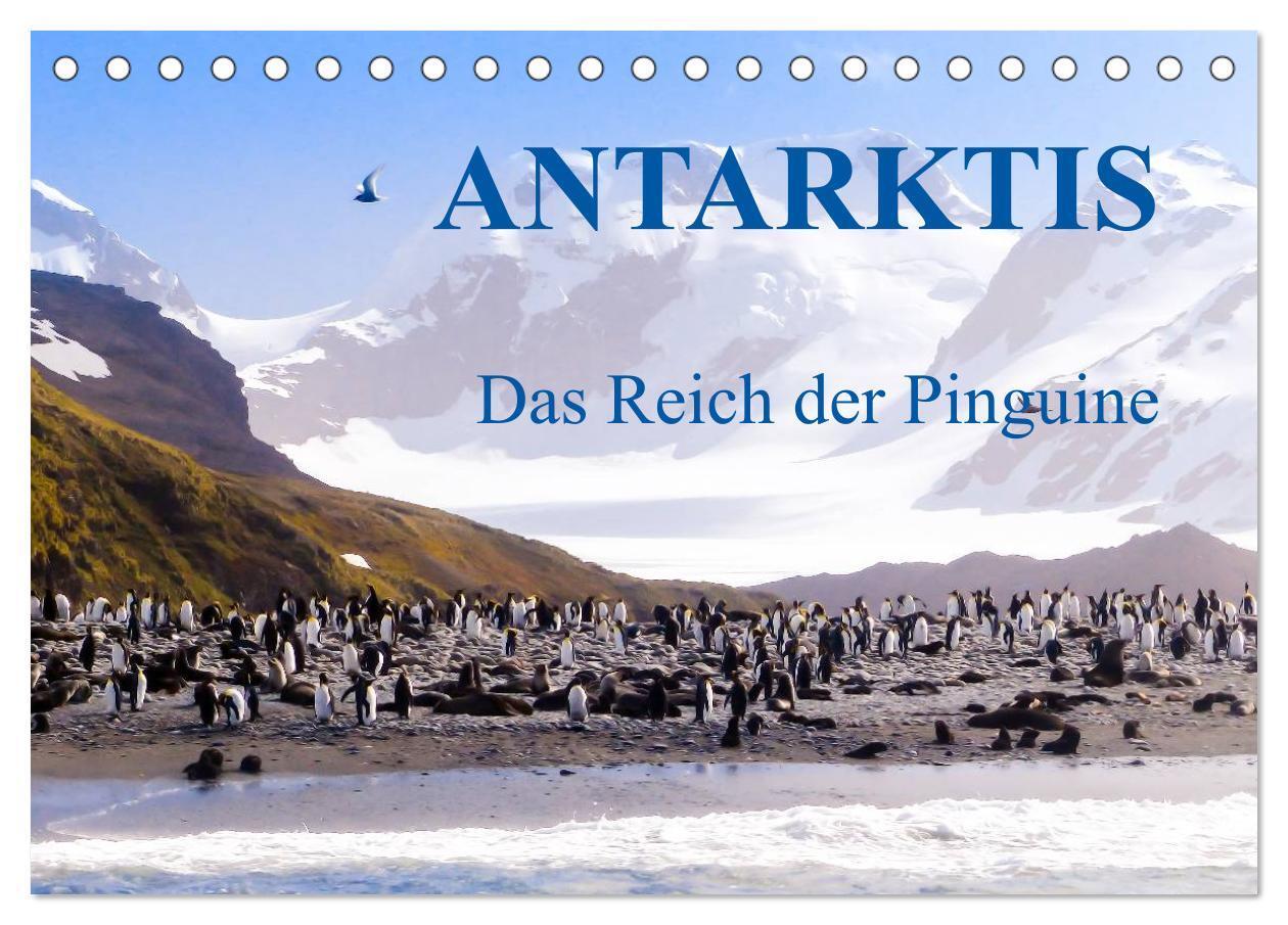 Cover: 9783435801190 | Antarktis - Das Reich der Pinguine (Tischkalender 2025 DIN A5...