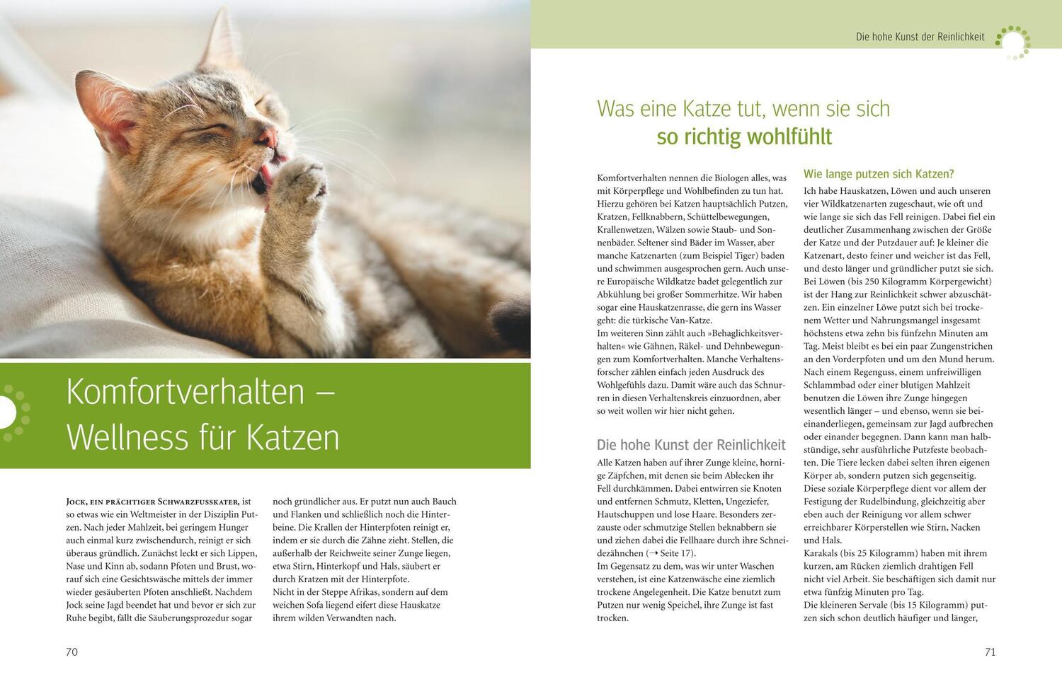 Bild: 9783833839450 | Was Katzen wirklich wollen | Mircea Pfleiderer (u. a.) | Buch | 208 S.