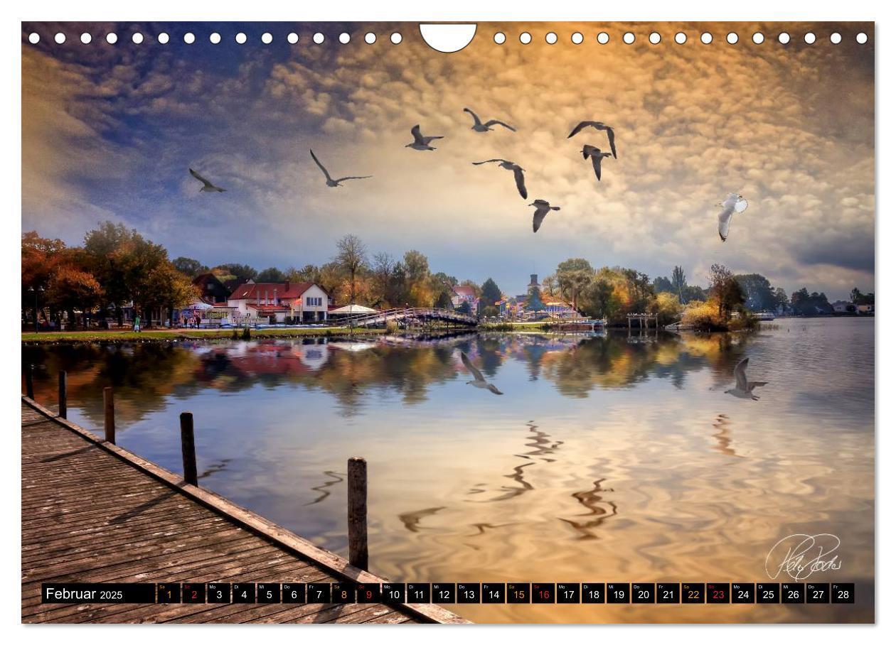 Bild: 9783435744268 | Am Steinhuder Meer (Wandkalender 2025 DIN A4 quer), CALVENDO...