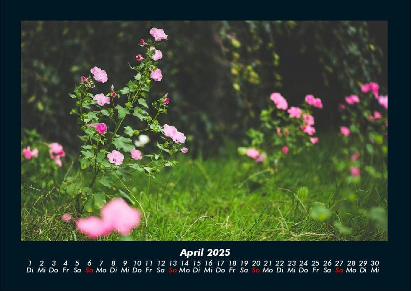 Bild: 9783755992325 | Blumenträume 2025 Fotokalender DIN A4 | Tobias Becker | Kalender