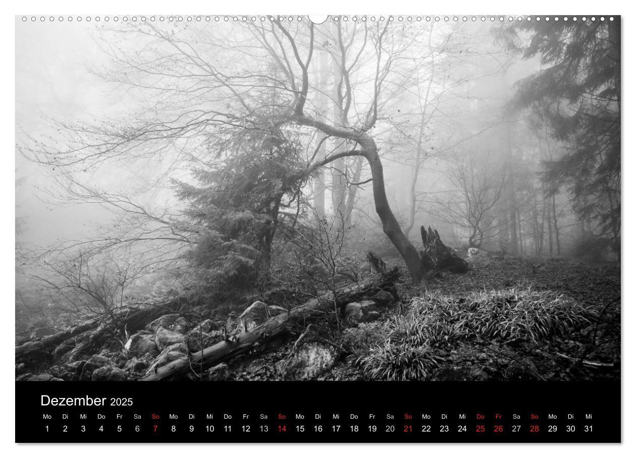 Bild: 9783435567225 | Monochrom 2025 (Wandkalender 2025 DIN A2 quer), CALVENDO...