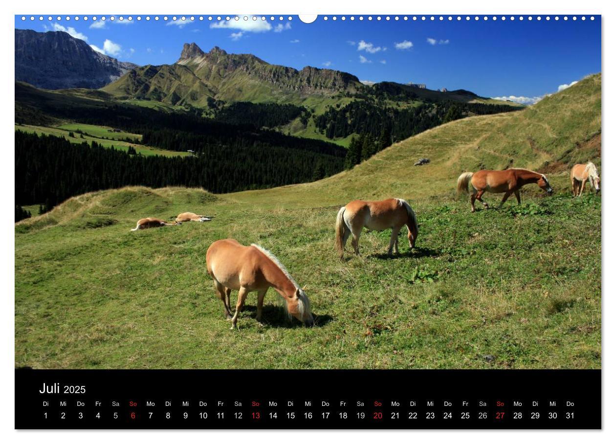 Bild: 9783435473533 | Alpe di Siusi - Seiser Alm (Wandkalender 2025 DIN A2 quer),...