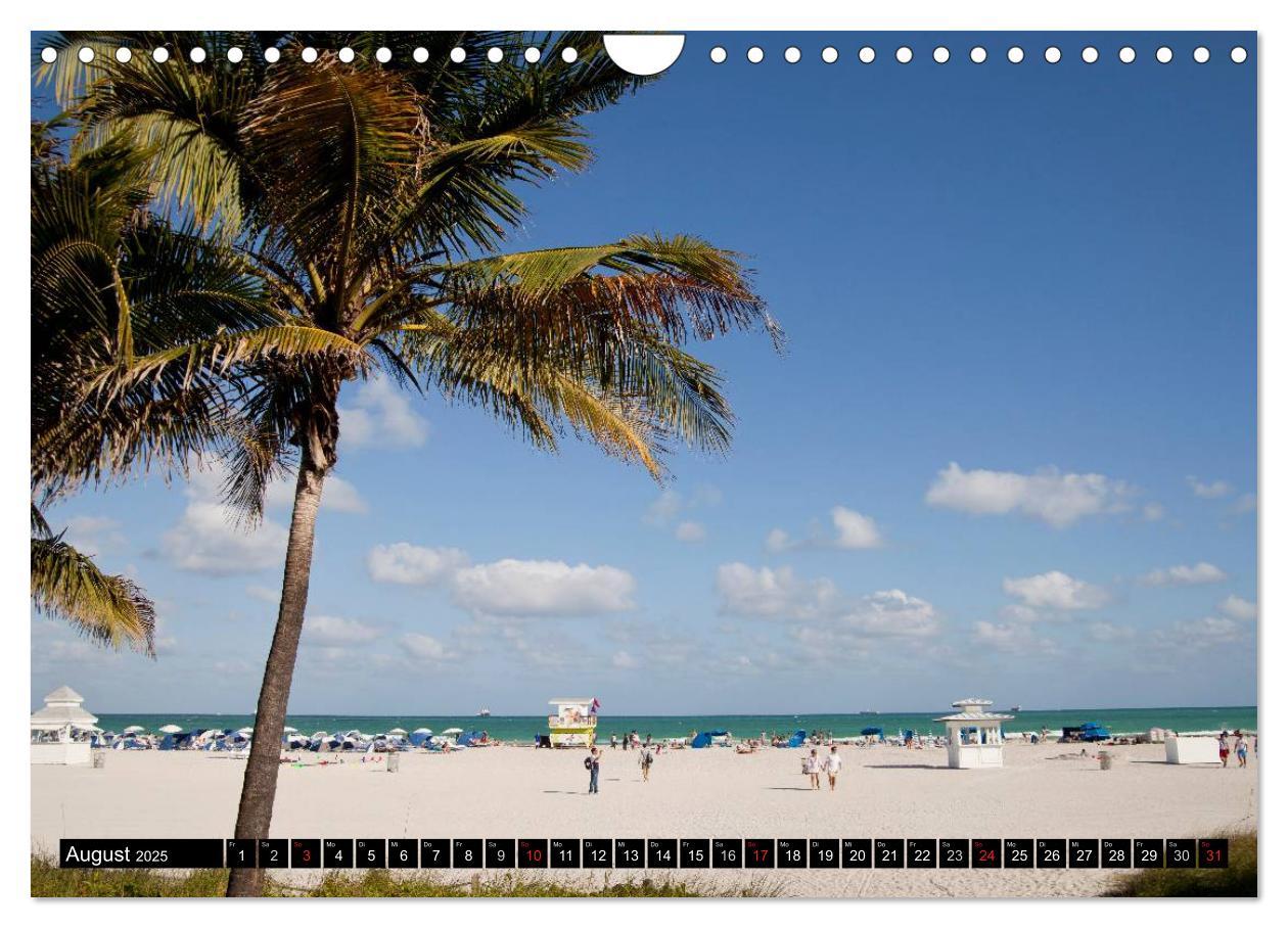 Bild: 9783435743926 | Miami und Florida (Wandkalender 2025 DIN A4 quer), CALVENDO...