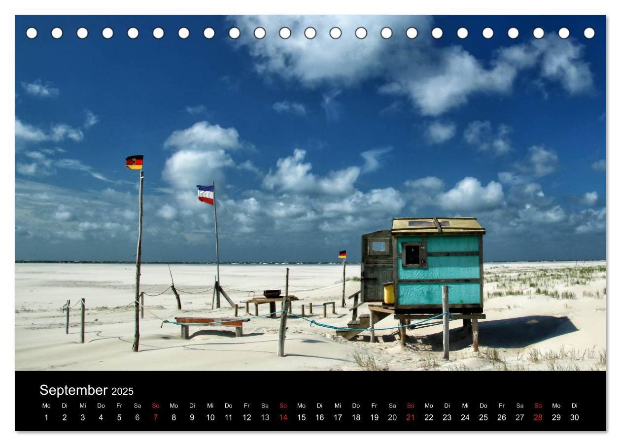 Bild: 9783435587667 | Amrum, Perle der Nordsee (Tischkalender 2025 DIN A5 quer), CALVENDO...