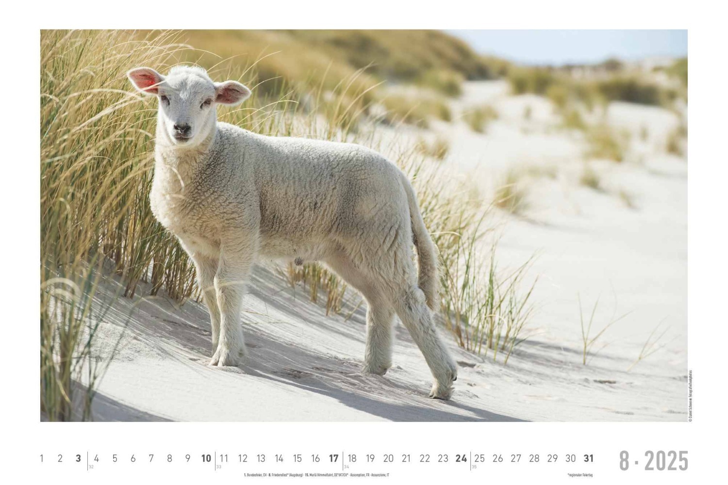 Bild: 4251732343392 | Alpha Edition - Seeblick 2025 Bildkalender quer, 49,5x33cm,...