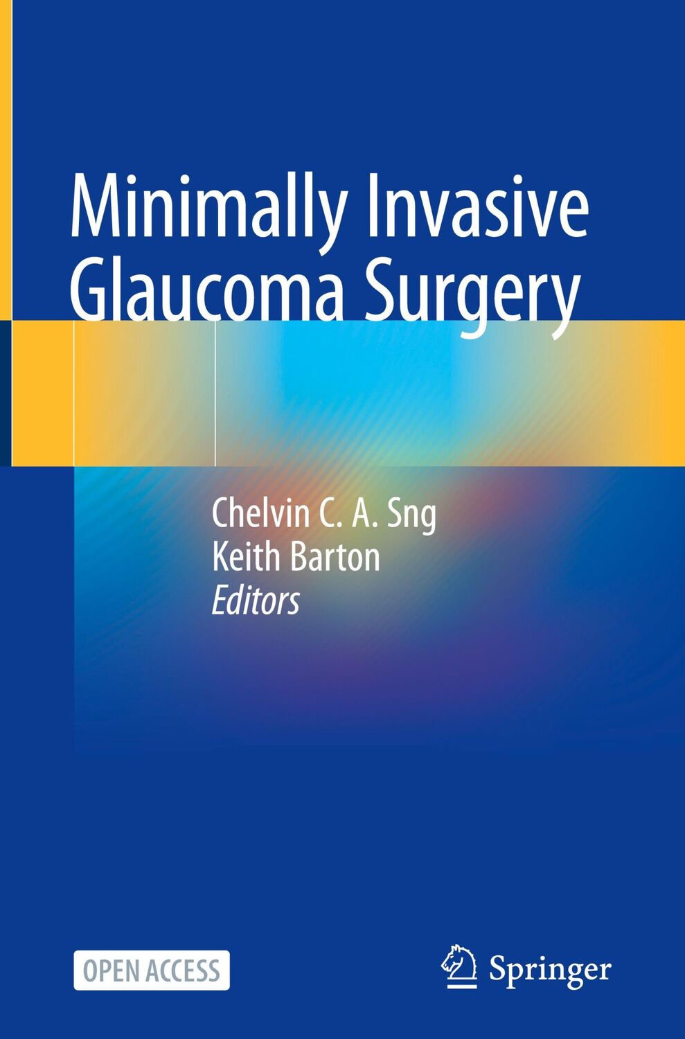 Cover: 9789811556319 | Minimally Invasive Glaucoma Surgery | Keith Barton (u. a.) | Buch | ix