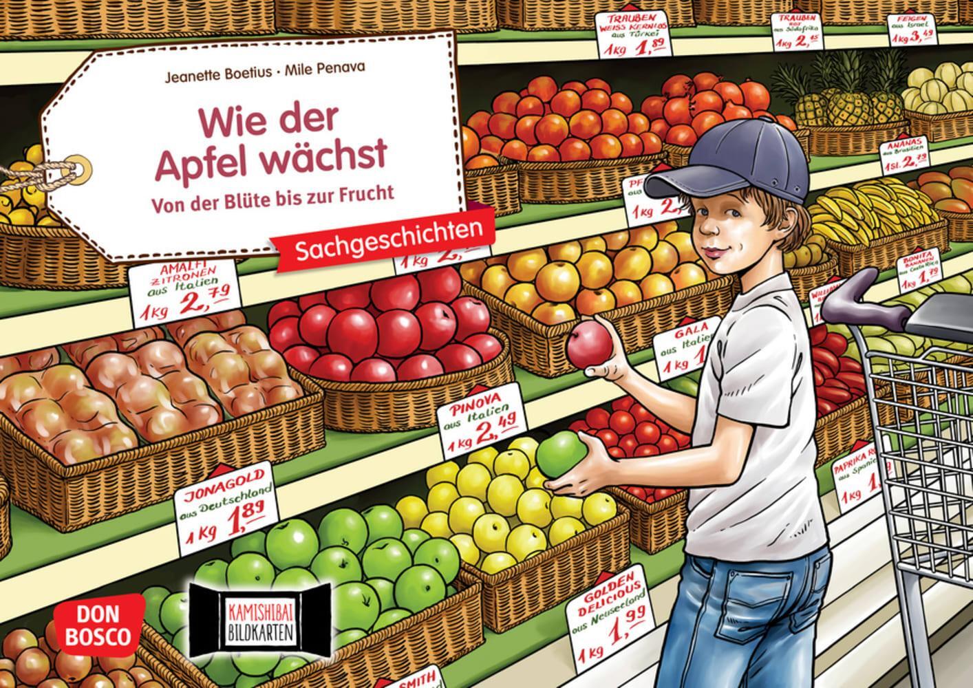 Cover: 4260179514487 | Wie der Apfel wächst. Von der Blüte bis zur Frucht. Kamishibai...