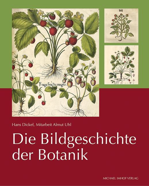 Cover: 9783731908081 | Die Bildgeschichte der Botanik | Hans Dickel | Buch | 224 S. | Deutsch