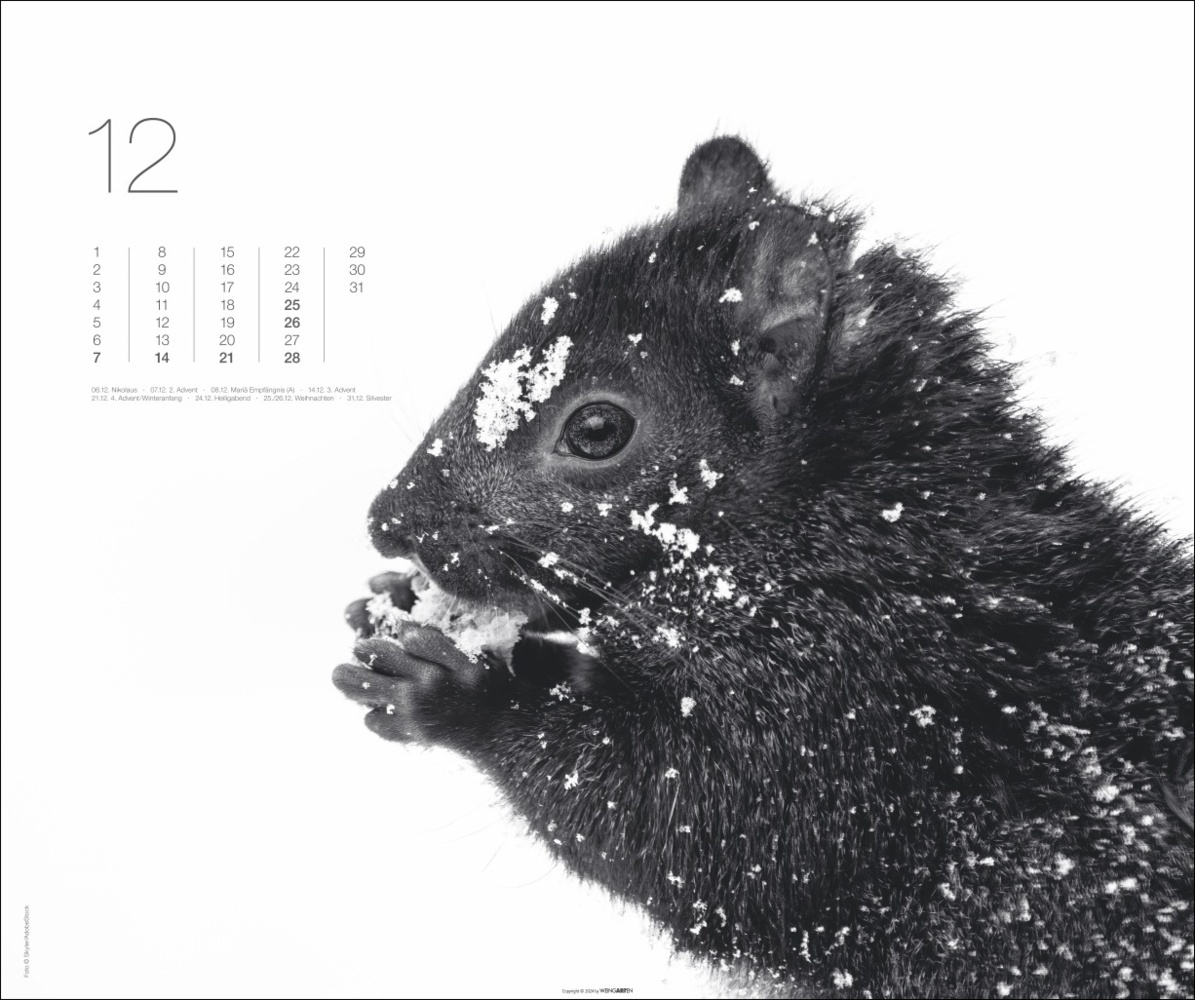 Bild: 9783839901328 | Black &amp; White Animals 2025 | Kalender | Spiralbindung | 14 S. | 2025