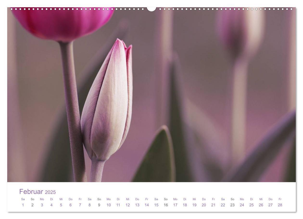 Bild: 9783435809516 | Blumen &amp; Blüten Träume (Wandkalender 2025 DIN A2 quer), CALVENDO...