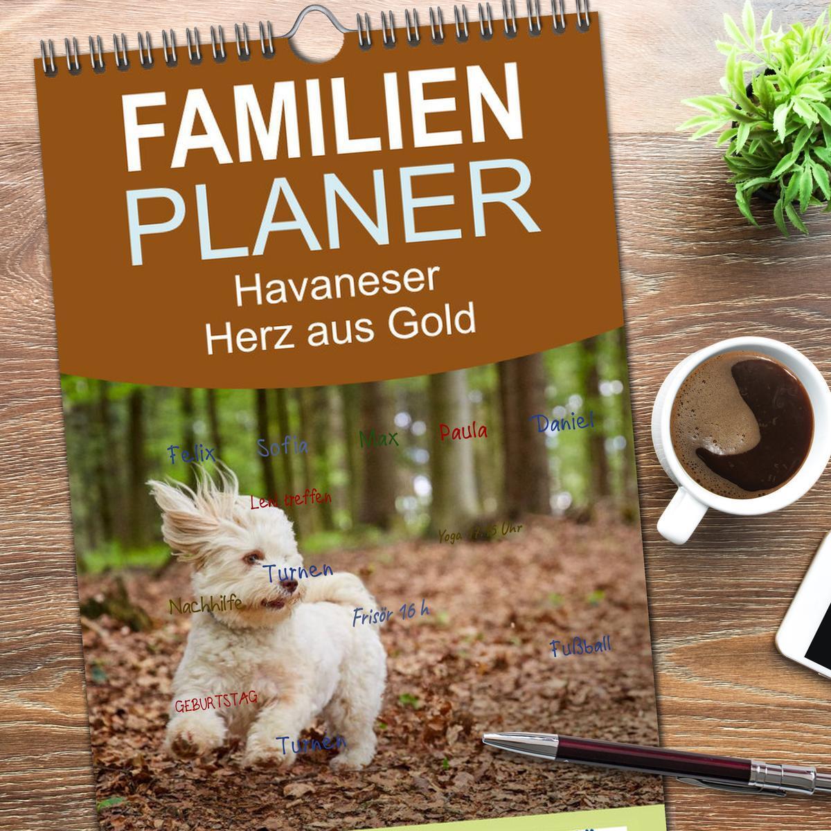 Bild: 9783457116883 | Familienplaner 2025 - Havaneser - Herz aus Gold mit 5 Spalten...