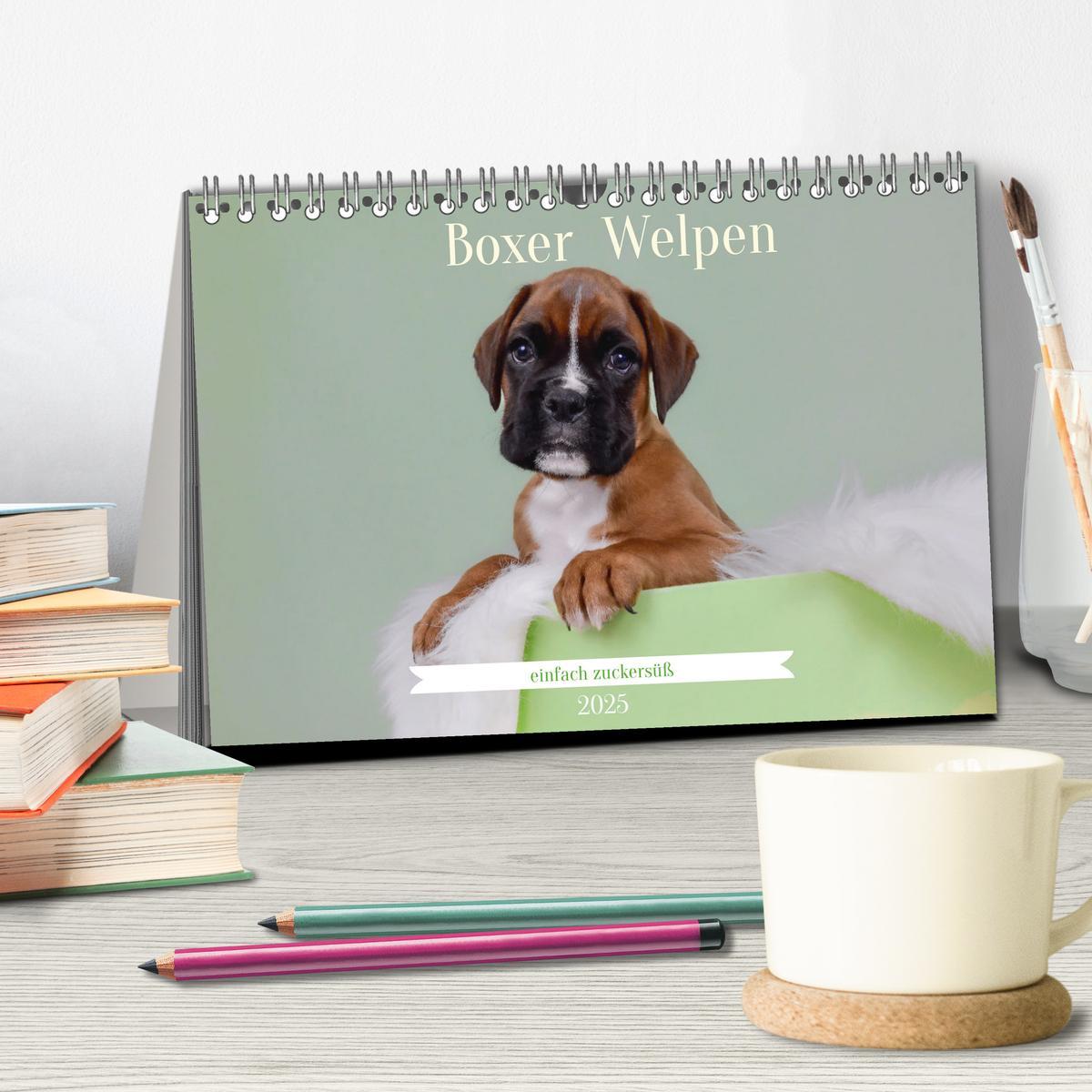 Bild: 9783457226216 | Boxer Welpen einfach zuckersüß (Tischkalender 2025 DIN A5 quer),...