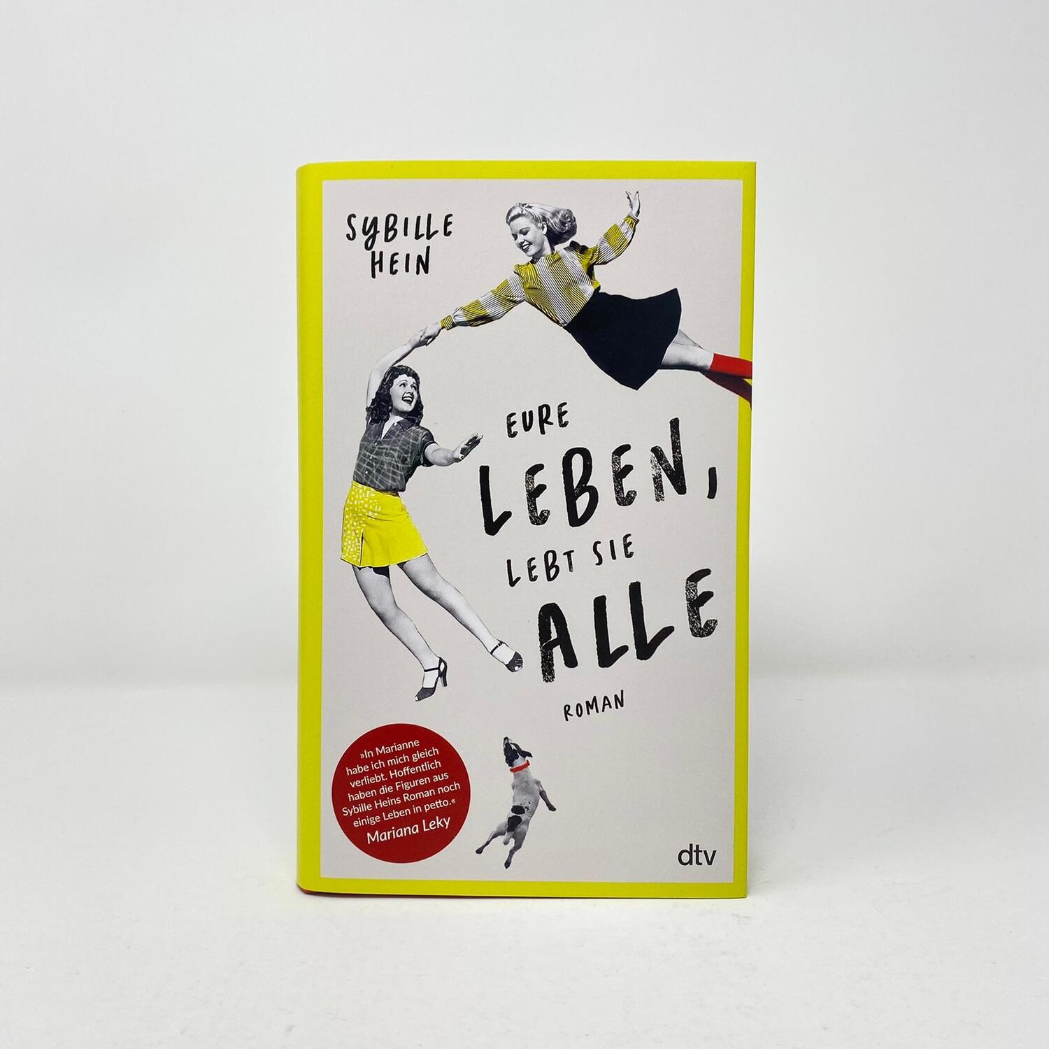 Bild: 9783423282826 | Eure Leben, lebt sie alle | Roman | Sybille Hein | Buch | 336 S.