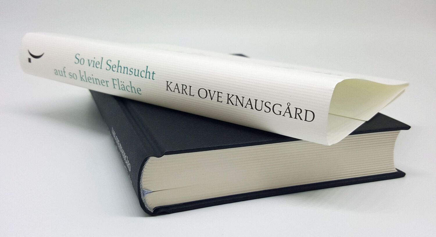 Bild: 9783630875897 | So viel Sehnsucht auf so kleiner Fläche | Karl Ove Knausgård | Buch