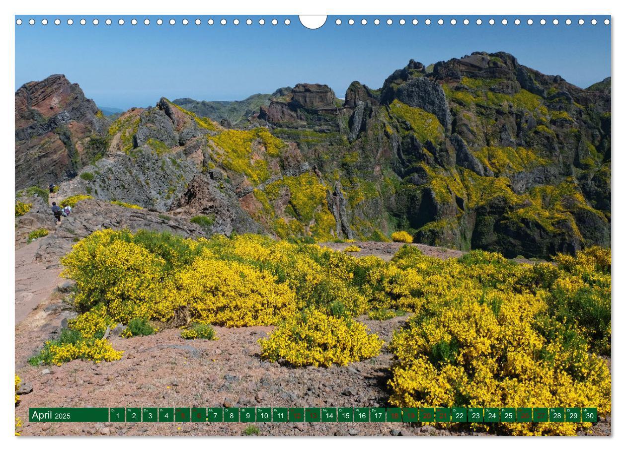 Bild: 9783383990717 | Madeira und Porto Santo (Wandkalender 2025 DIN A3 quer), CALVENDO...