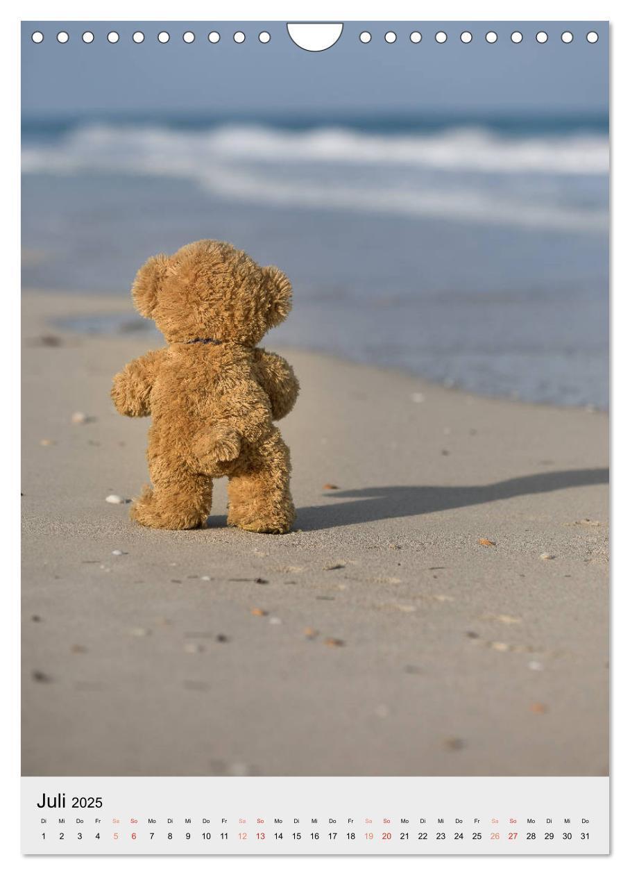 Bild: 9783435935482 | Travelling Teddy auf Welt-Tour (Wandkalender 2025 DIN A4 hoch),...