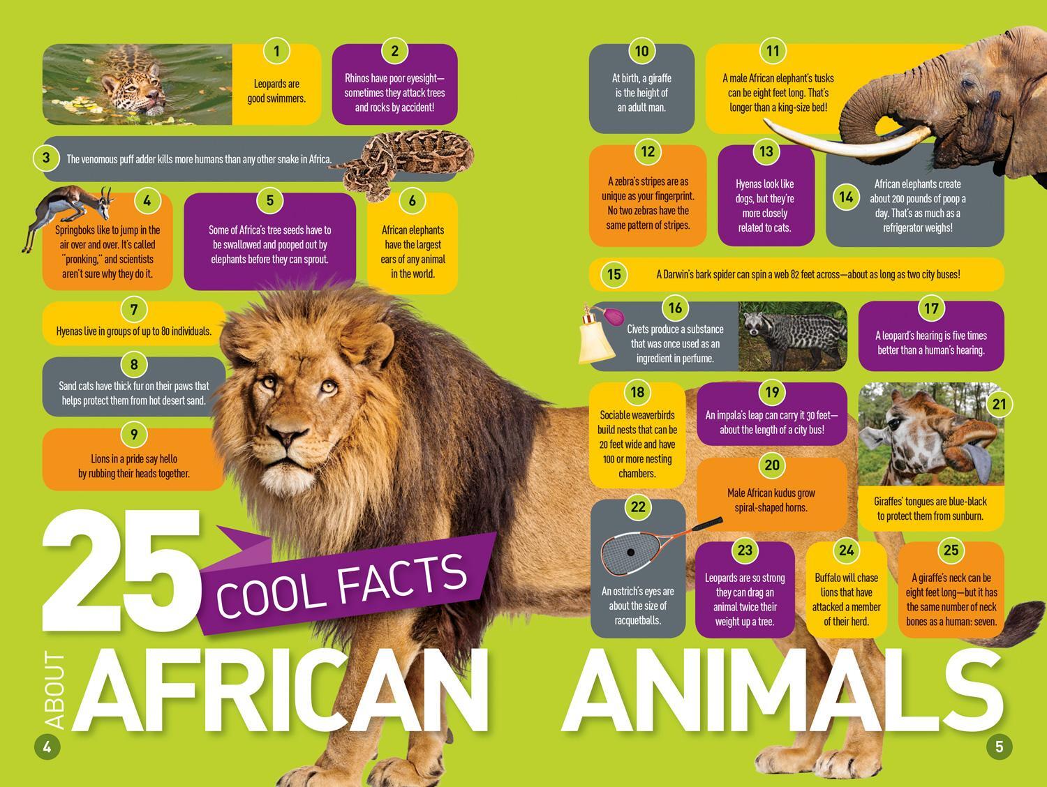 Bild: 9781426332418 | National Geographic Kids Readers: Roar! 100 Fun Facts About African...