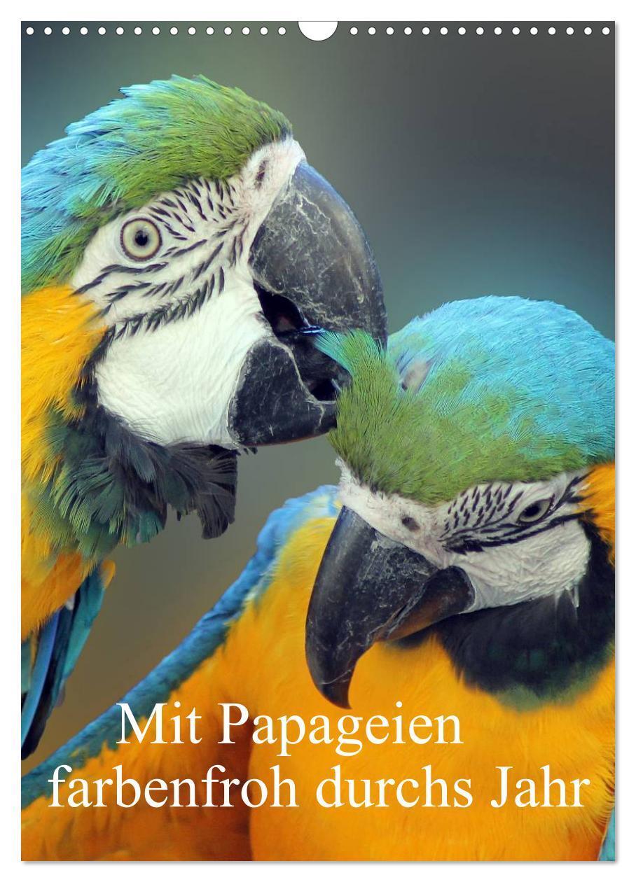 Cover: 9783457012918 | Mit Papageien farbenfroh durchs Jahr (Wandkalender 2025 DIN A3...