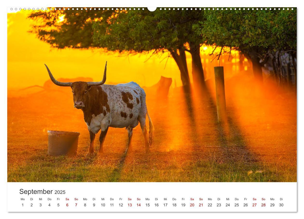 Bild: 9783457181157 | Texas - Howdy aus dem Lone Star State! (Wandkalender 2025 DIN A2...