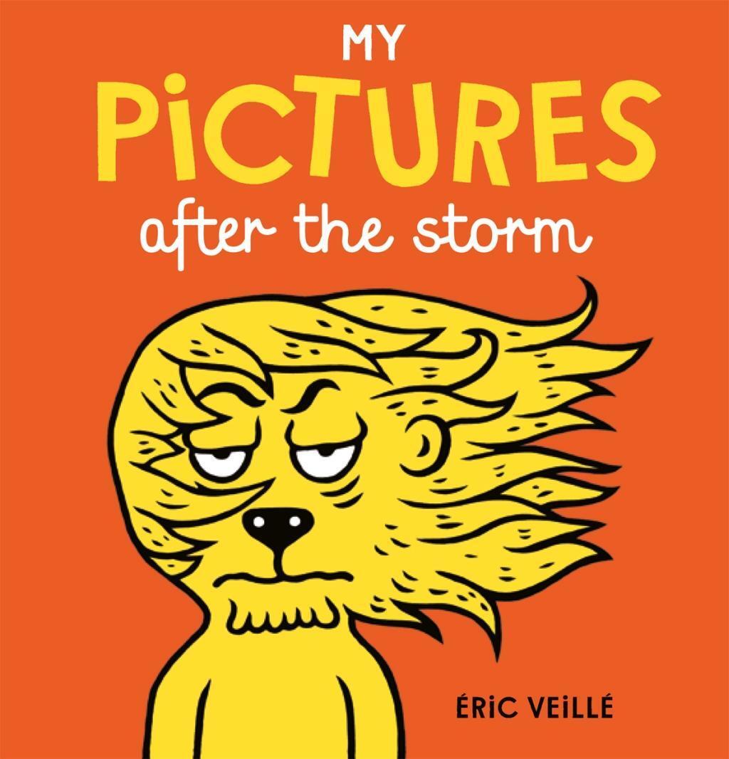 Cover: 9781776571048 | My Pictures After the Storm | Eric Veille | Buch | Gebunden | Englisch