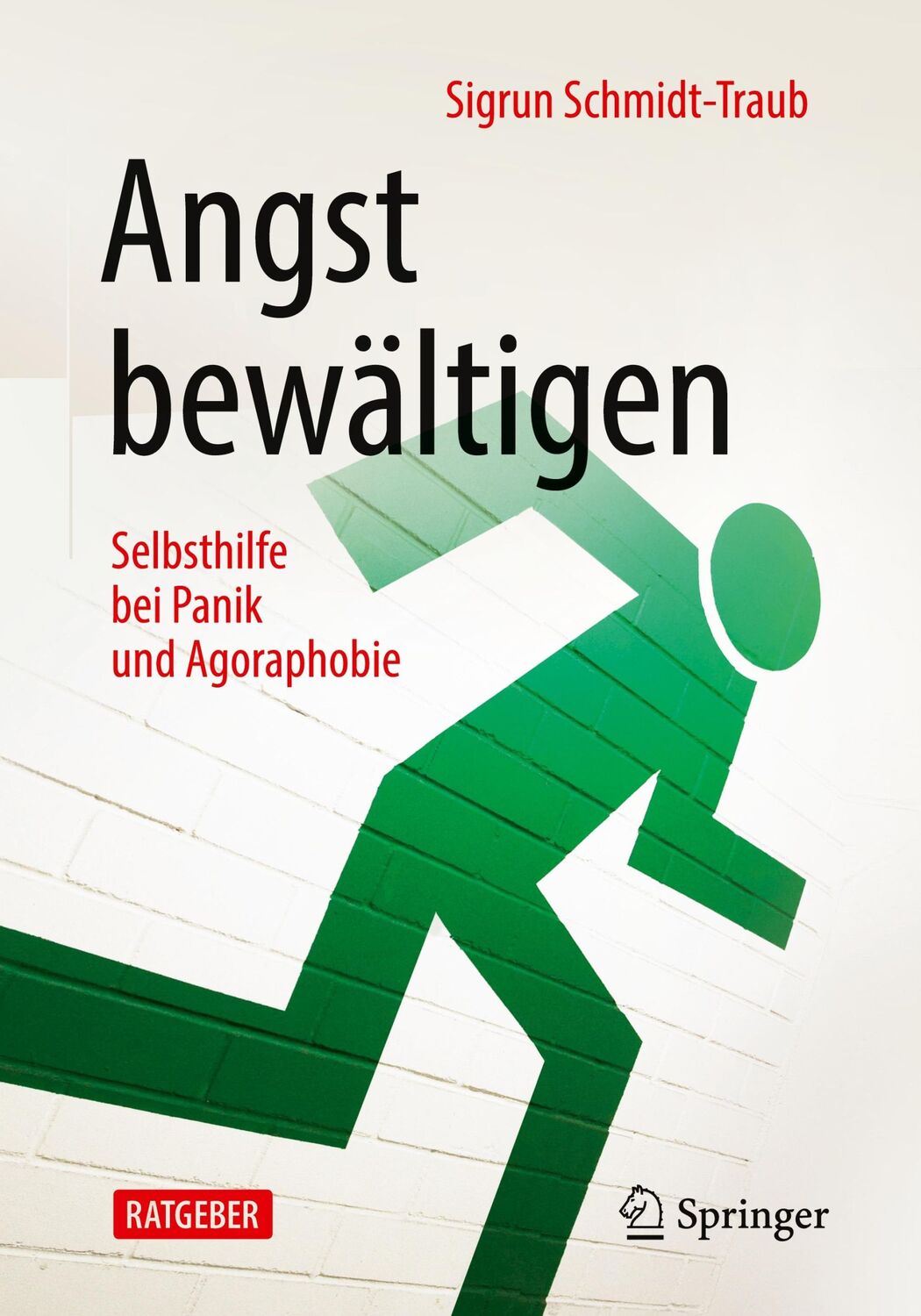 Cover: 9783662611210 | Angst bewältigen | Selbsthilfe bei Panik und Agoraphobie | Taschenbuch