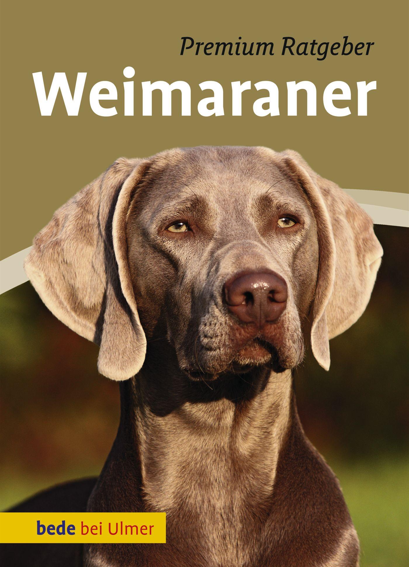 Cover: 9783800177462 | Weimaraner | Annette Schmitt | Buch | bede bei Ulmer | 128 S. | 2013