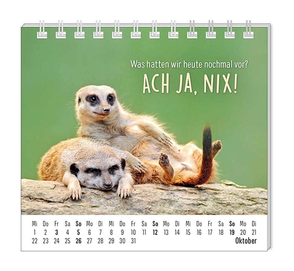 Bild: 9783986361099 | Mini-Kalender 2025 Happymacher | Mini-Kalender | Original | Kalender