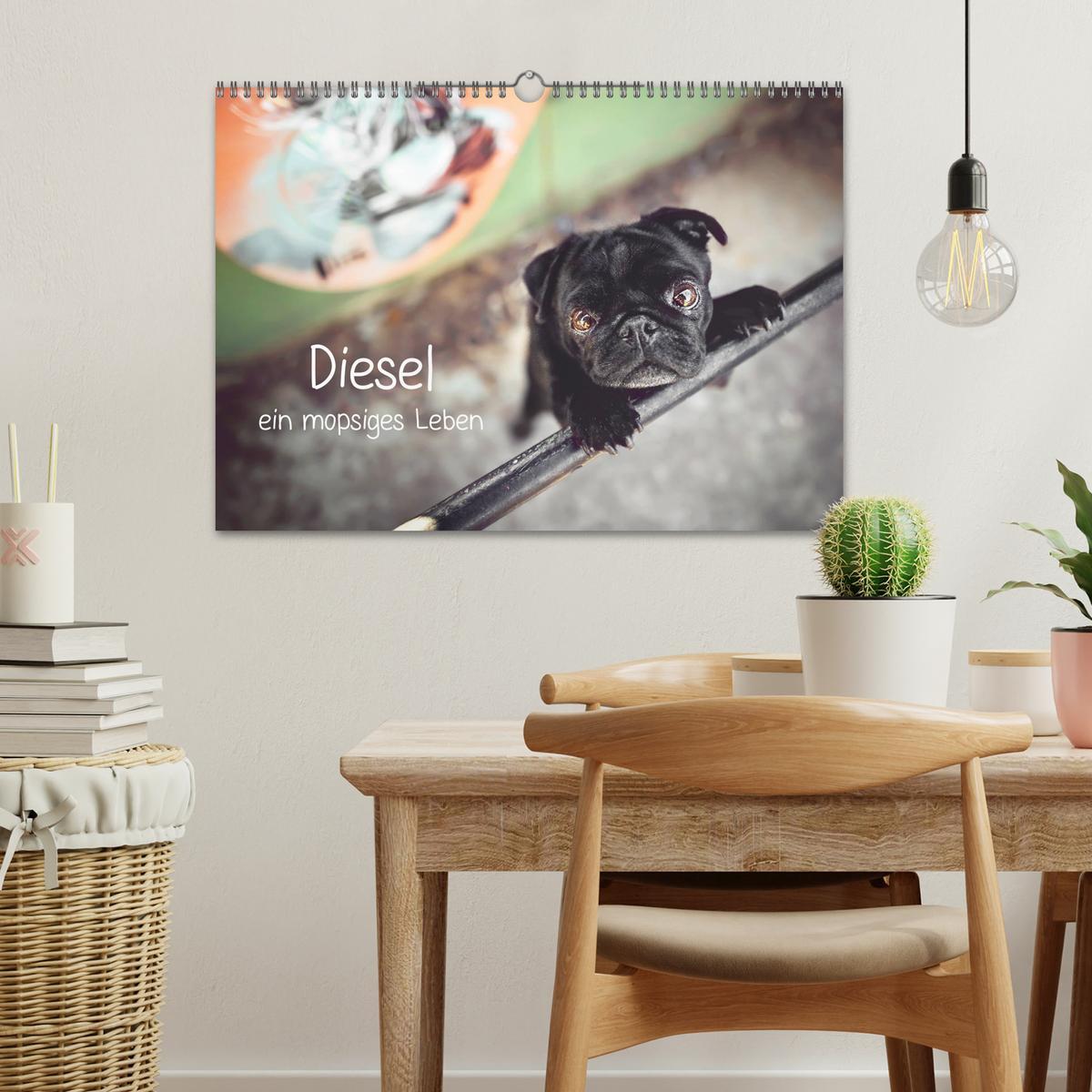 Bild: 9783435137282 | Diesel - ein mopsiges Leben (Wandkalender 2025 DIN A3 quer),...