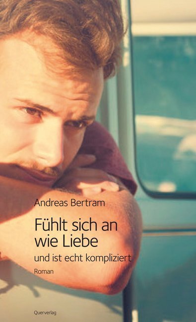 Cover: 9783896562869 | Fühlt sich an wie Liebe und ist echt kompliziert | Roman | Bertram