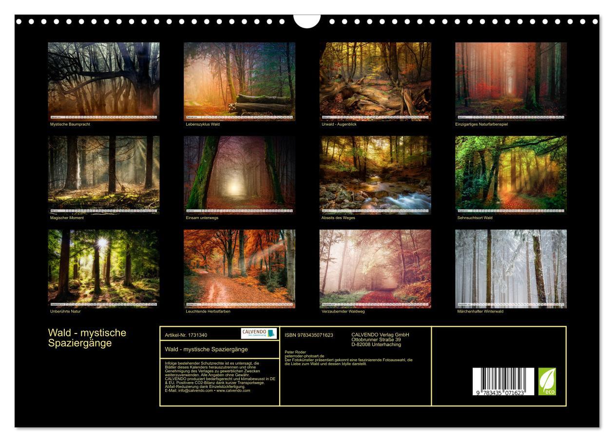 Bild: 9783435071623 | Wald - mystische Spaziergänge (Wandkalender 2025 DIN A3 quer),...