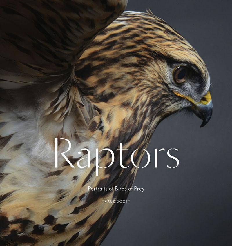 Cover: 9781616895570 | Raptors: Birds of Prey | Portraits of Birds of Prey | Traer Scott