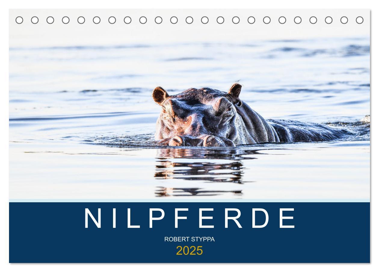 Cover: 9783435020584 | Nilpferde, Kolosse in Afrika (Tischkalender 2025 DIN A5 quer),...