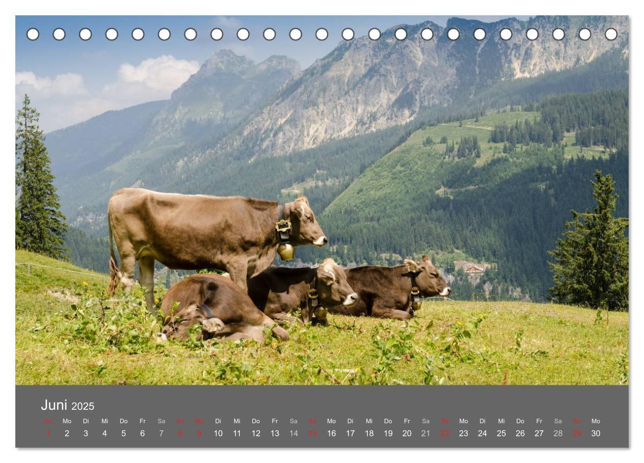 Bild: 9783435727636 | Tannheimer Tal (Tischkalender 2025 DIN A5 quer), CALVENDO...