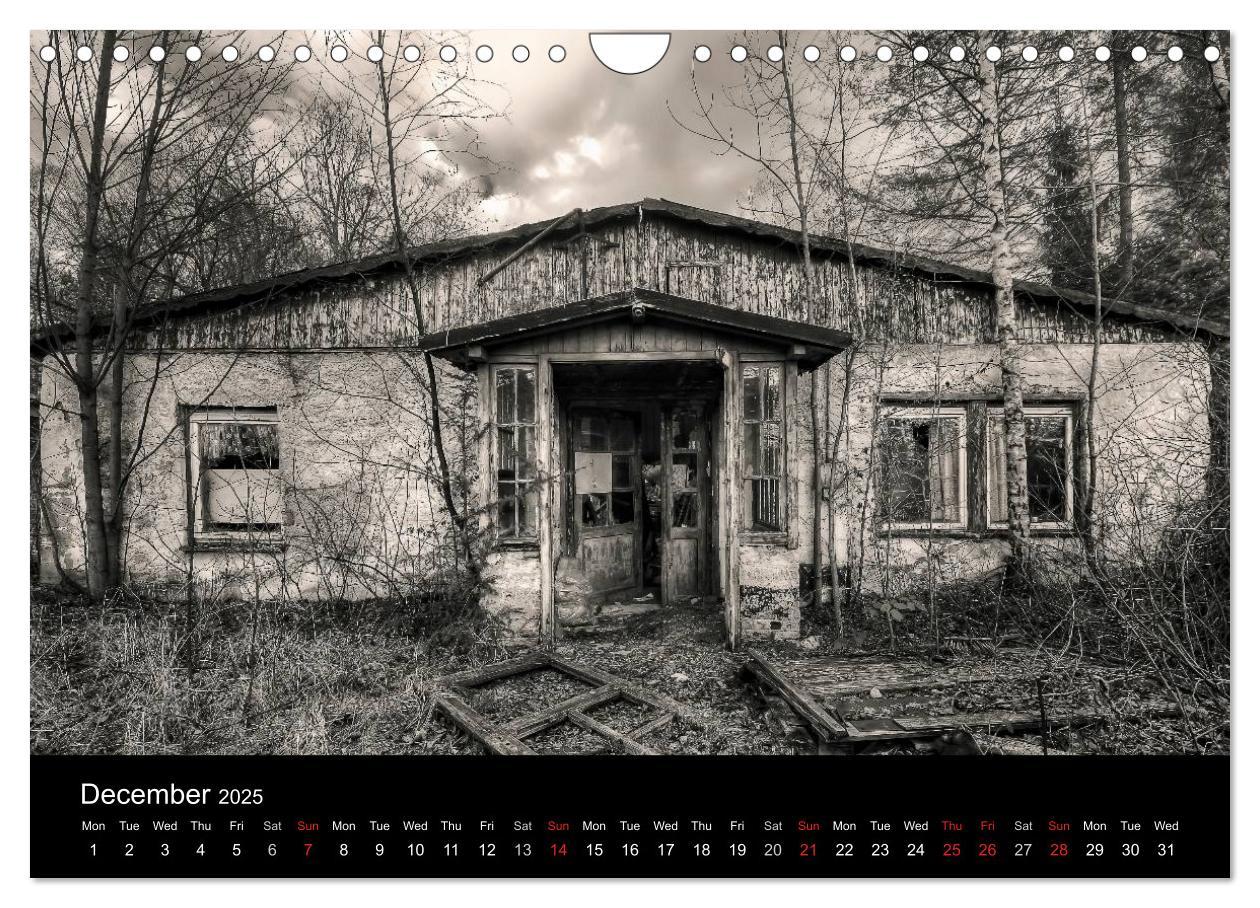 Bild: 9781325955794 | Abandoned Places Haunted Houses (Wall Calendar 2025 DIN A4...