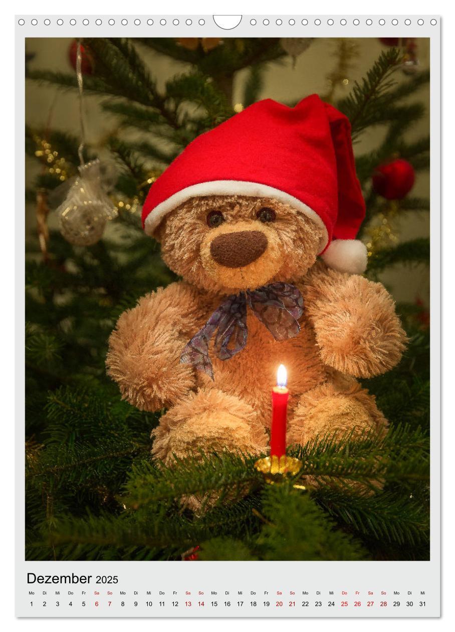 Bild: 9783435984961 | Travelling Teddy in Europa (Wandkalender 2025 DIN A3 hoch),...