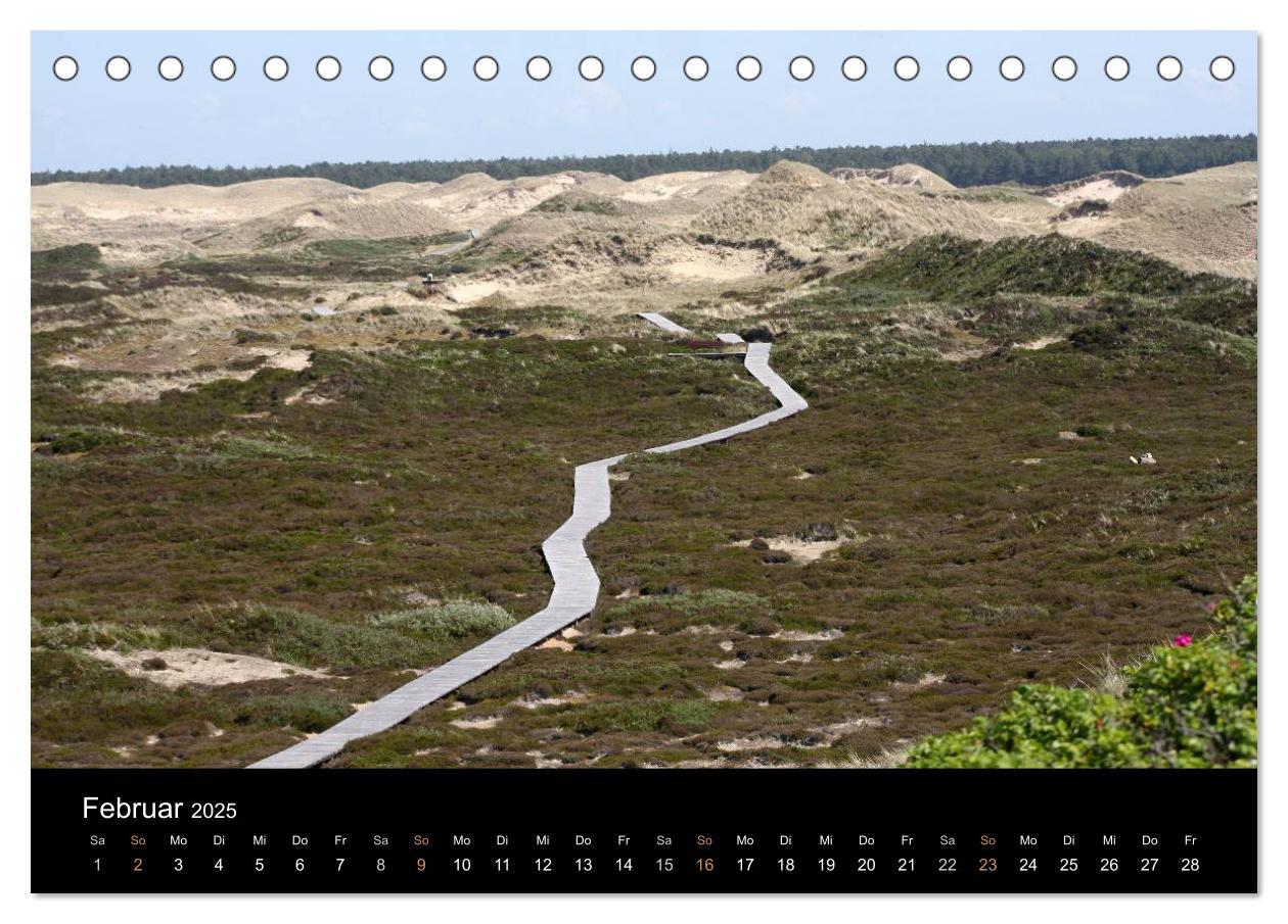 Bild: 9783435785735 | Die Insel Amrum (Tischkalender 2025 DIN A5 quer), CALVENDO...