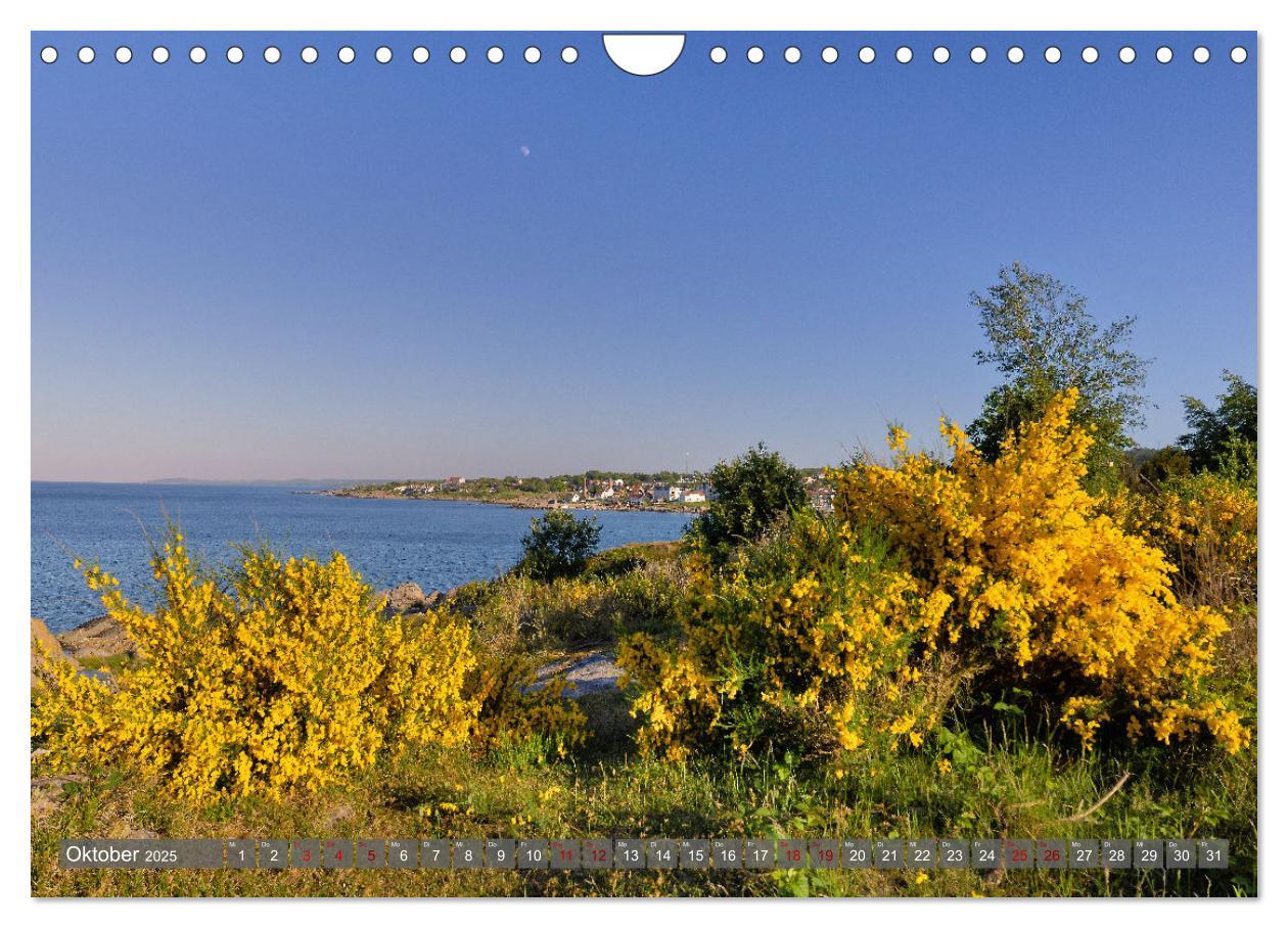 Bild: 9783383921681 | Bornholm Juwel der Ostsee (Wandkalender 2025 DIN A4 quer), CALVENDO...