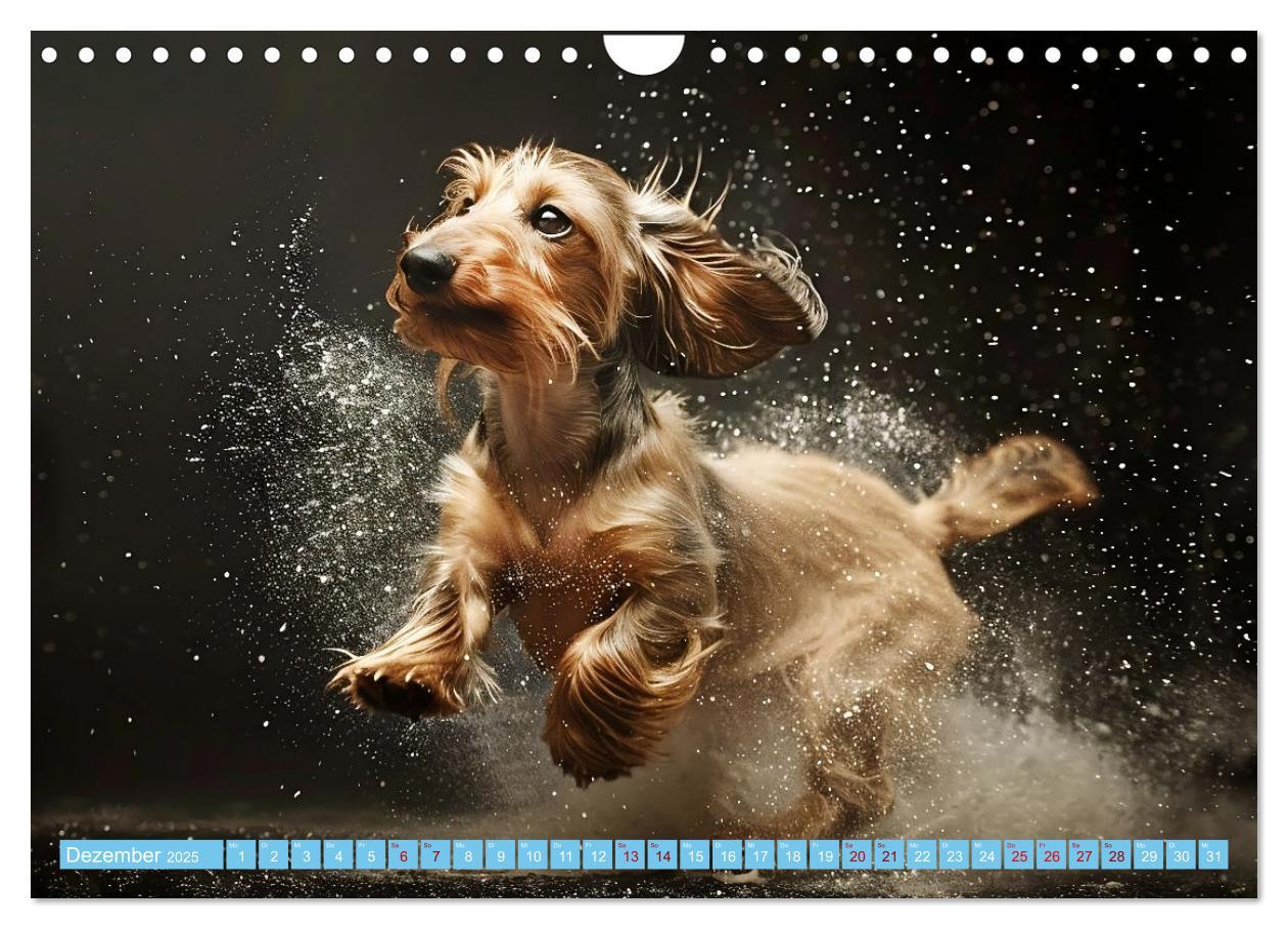 Bild: 9783457129227 | Hunde und Wasser (Wandkalender 2025 DIN A4 quer), CALVENDO...