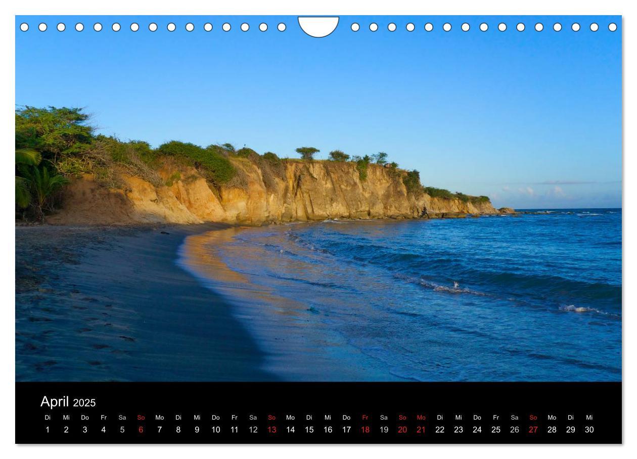 Bild: 9783435461820 | Trauminsel Puerto Rico (Wandkalender 2025 DIN A4 quer), CALVENDO...