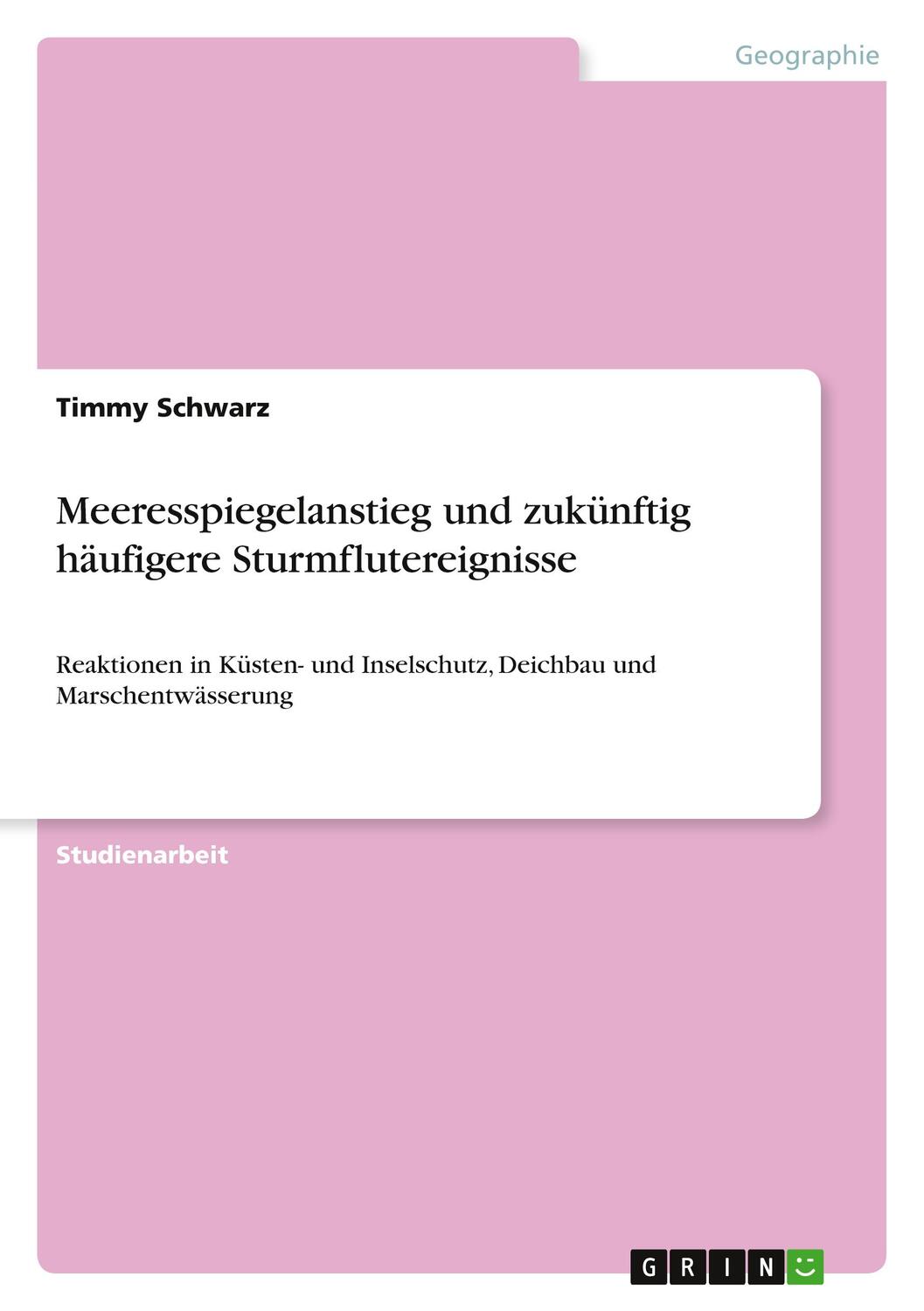 Cover: 9783640717507 | Meeresspiegelanstieg und zukünftig häufigere Sturmflutereignisse