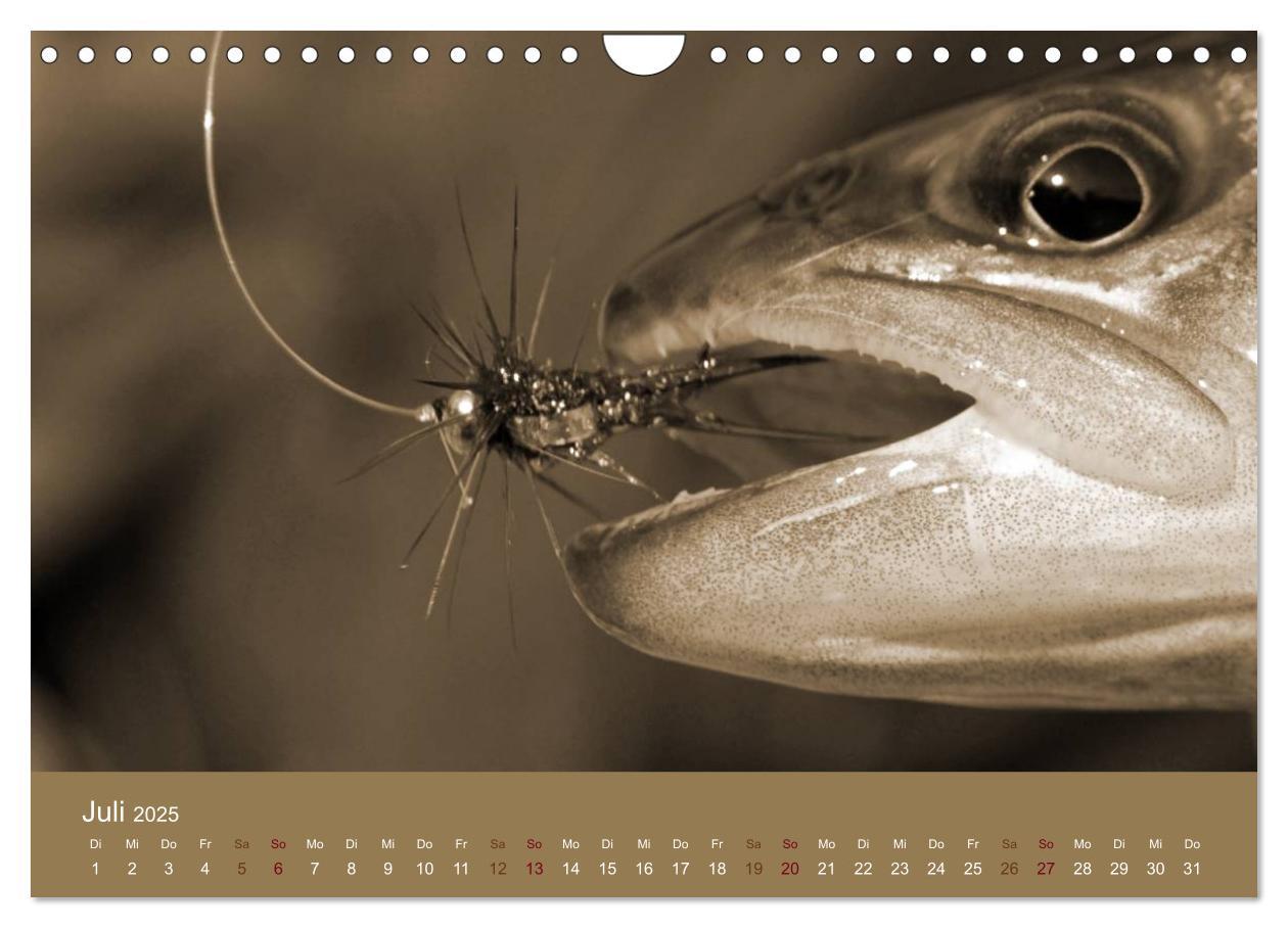 Bild: 9783435665747 | Fliegenfischen (Wandkalender 2025 DIN A4 quer), CALVENDO...