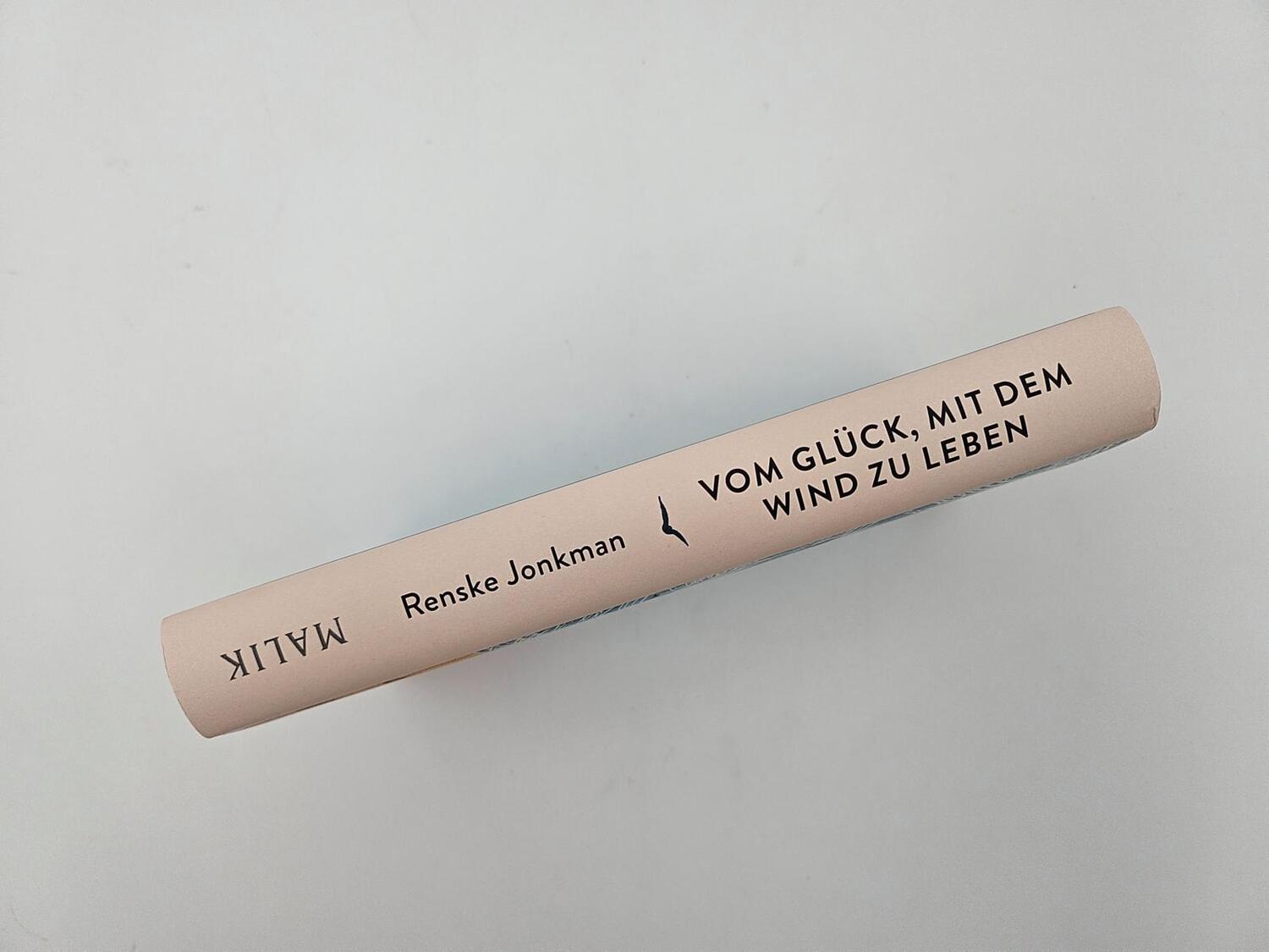 Bild: 9783890295817 | Vom Glück, mit dem Wind zu leben | Renske Jonkman | Buch | 208 S.