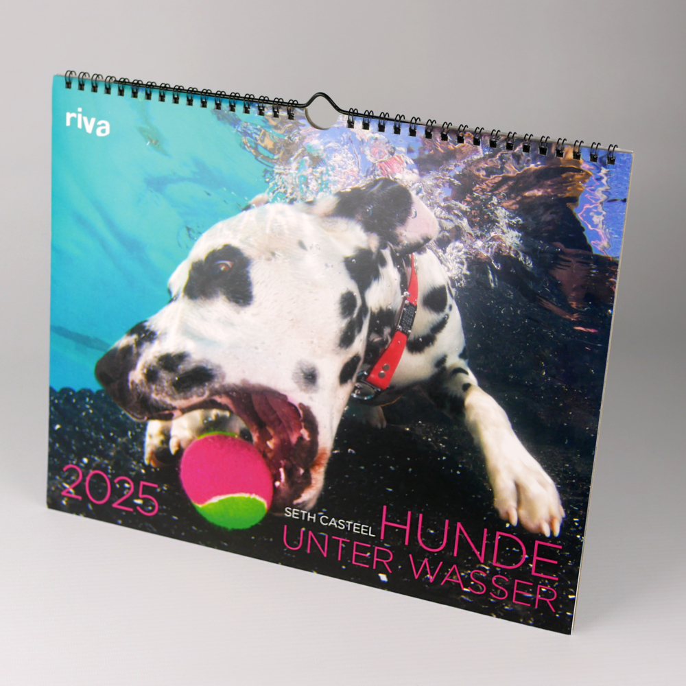 Bild: 9783742326331 | Hunde unter Wasser 2025 | Seth Casteel | Kalender | 14 S. | Deutsch