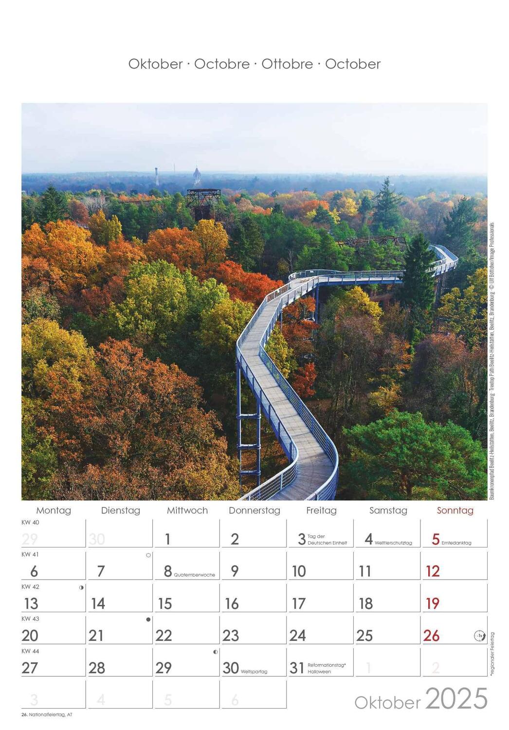 Bild: 4251732341176 | Berlin &amp; Brandenburg 2025 - Bild-Kalender 23,7x34 cm -...