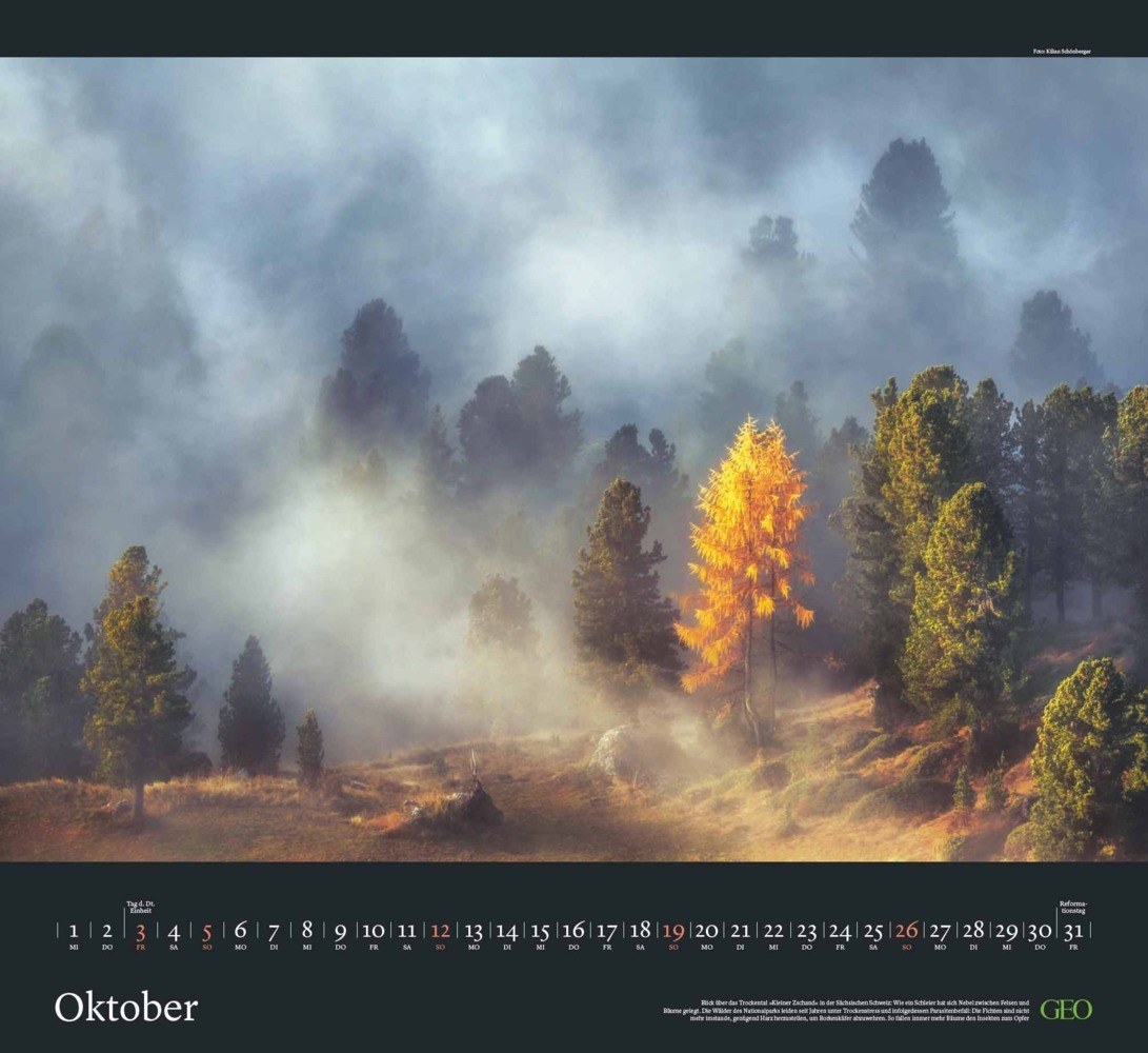 Bild: 4002725988683 | GEO - Sehnsucht Wald Wandkalender 2025 - Eindrucksvoller...