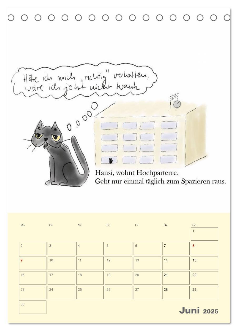 Bild: 9783457220818 | Therapie.Katzen (Tischkalender 2025 DIN A5 hoch), CALVENDO...