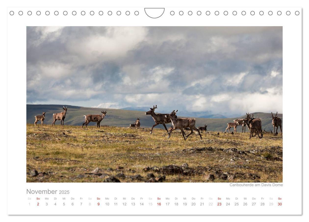 Bild: 9783435822430 | Alaska 2025 (Wandkalender 2025 DIN A4 quer), CALVENDO Monatskalender