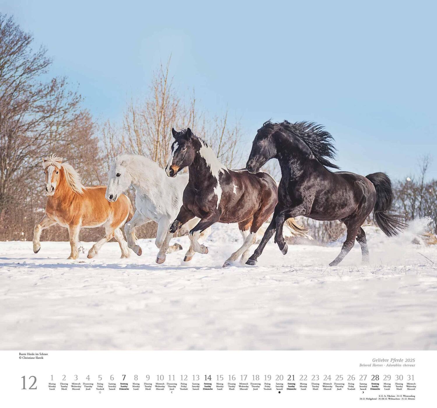 Bild: 4250809653891 | Geliebte Pferde 2025 - DUMONT-Wandkalender - Pferdefotografie von...