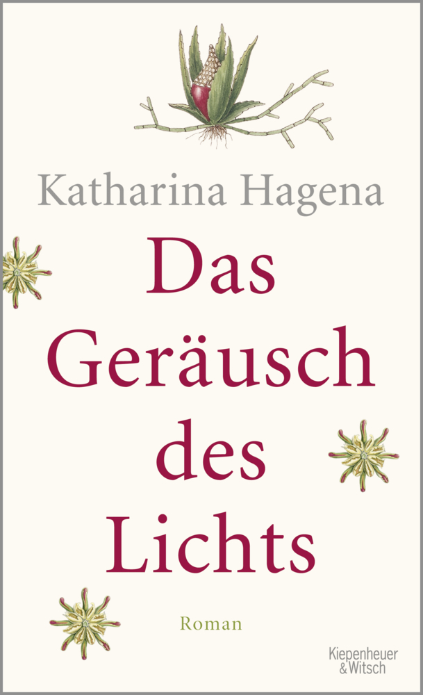 Cover: 9783462049329 | Das Geräusch des Lichts | Roman | Katharina Hagena | Buch | 268 S.