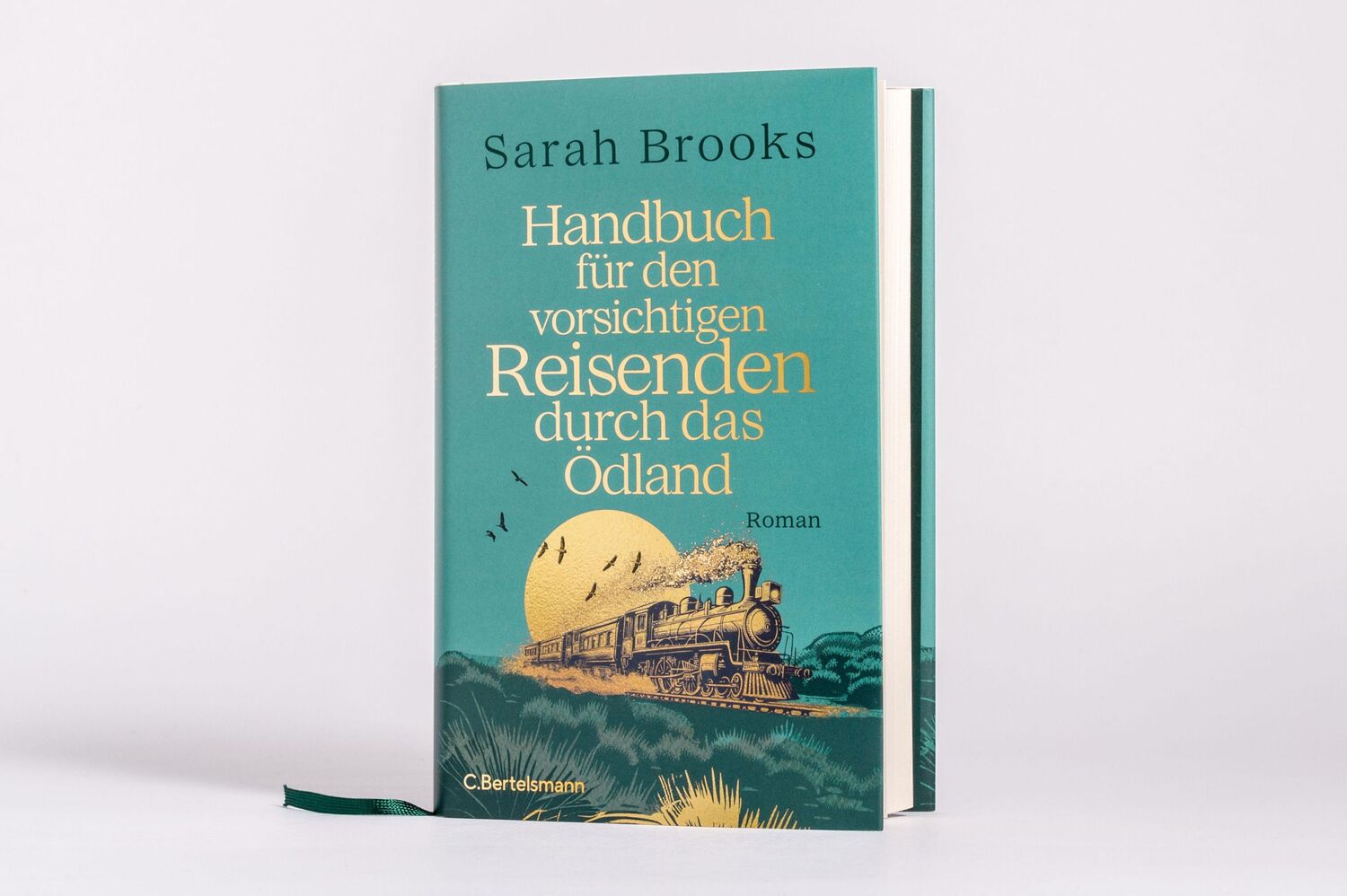 Bild: 9783570105009 | Handbuch für den vorsichtigen Reisenden durch das Ödland | Roman